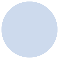 R2B1